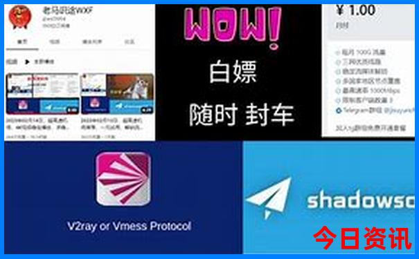 澳门特码开什么
